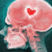 PSY1035 - Psychologie physiologique