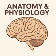 Anatomy and Physiology