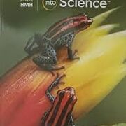 Grade 3: Into Science