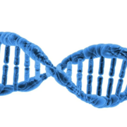 Biochimie et Métabolisme BCM-1903 alh