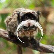 GCSE Geography Topic 9 - Consuming Energy Resources