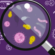 MicroBio