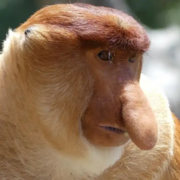 Programming Notes final