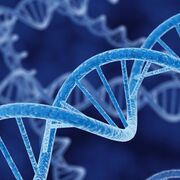 histologie en genetica