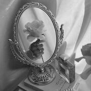 A Streetcar Named Desire terminology