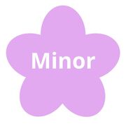 Minor - transplantatie geneeskunde
