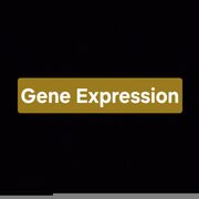 Biology Topic 8 Control Of Gene Expression