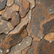 25 matrice morvarid 10