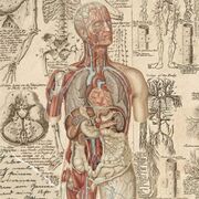 Basics of Biology