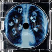 Sociology: The Media