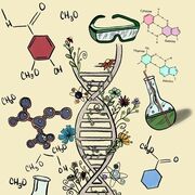 Biochimie Structurale