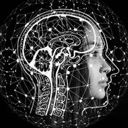 SLP1538: Neurocognitive Communication Disorders