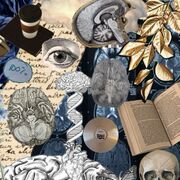 Psychology A-level Eduqas