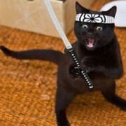 4 japo