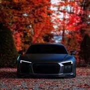 FREE Physical Science