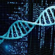 SYS102 - BIOINFORMATICS