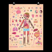 Anatomy and Pysiology