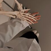 S3: Anatomie et physiologie I