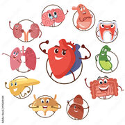 Internal Medicine Rotation