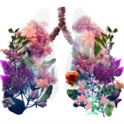 Ventilação Mecânica