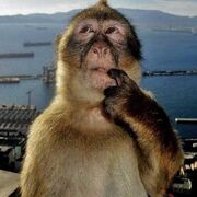 4 SEM - PERSONALIDAD