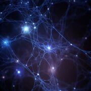 UNIT 2 - Chemical structures of biomolecules