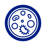 Biological and Pharmacological