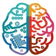 Principles of Neuroscience - B+B 1