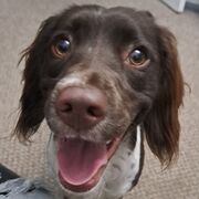 LAW: Crime - Mental Capacity Defences