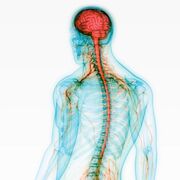 MED-1022 Neurophysiologie de la douleur