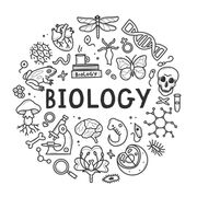 Biologia Inter
