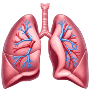 MIR Neumología y Cirugía Torácica