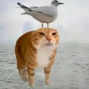 Grade 9 Geography blehhh