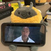 French Verbs Semester 1