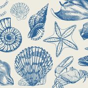 MID402 - Biology in Midwifery