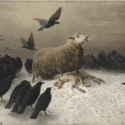 A-Level English Literature - WW1 and its aftermath