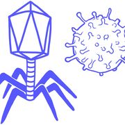 Microbio 2 - Mycology, Parasitology, Virololy