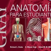 Anatomía 1mer parcial