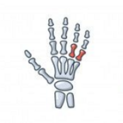 Blessures orthopédiques & conditions