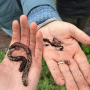 Science du sol: SLS-1000 alh