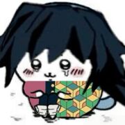 Integumentary System