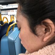 politics - uk politics