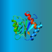 IMS Strand 2: Proteins