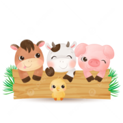 Y4 farm