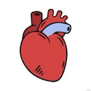 1.3 Cardio Week 3
