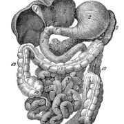 Biología (octubre)