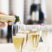 Champagne Masters Supplement 2025