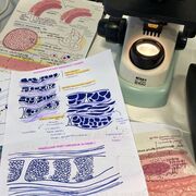 Cell biochemistry and biology