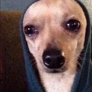 JP Beginner Vocabulary