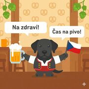 Czech Basics 🇨🇿